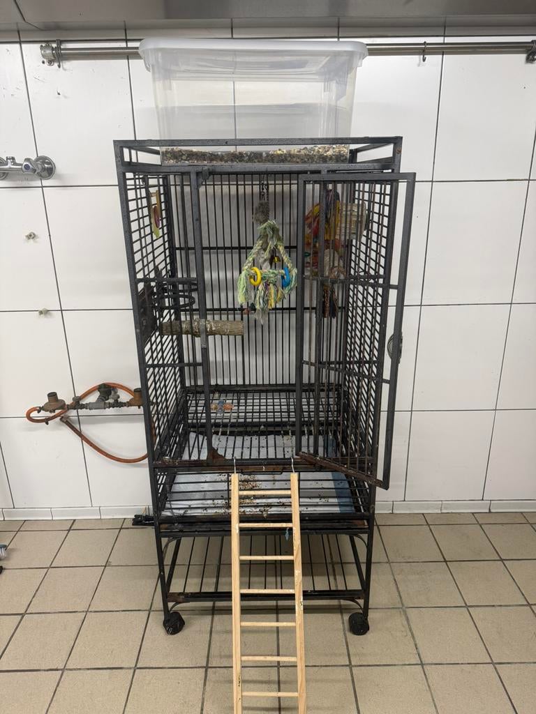 Papegaaienkooi, Ophalen, Gebruikt