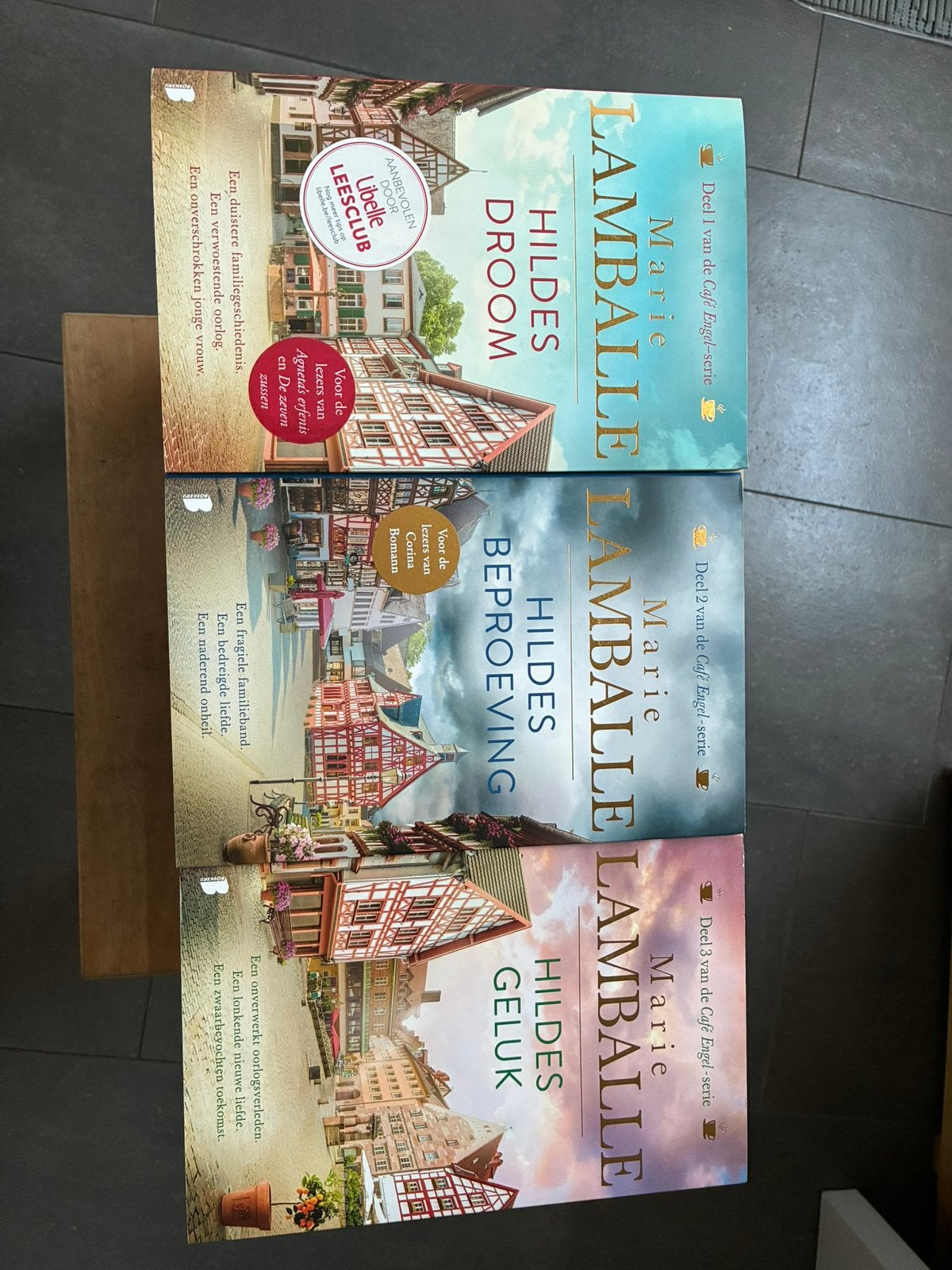 Romans Marie Lamballe, Boeken, Ophalen of Verzenden, Zo goed als nieuw
