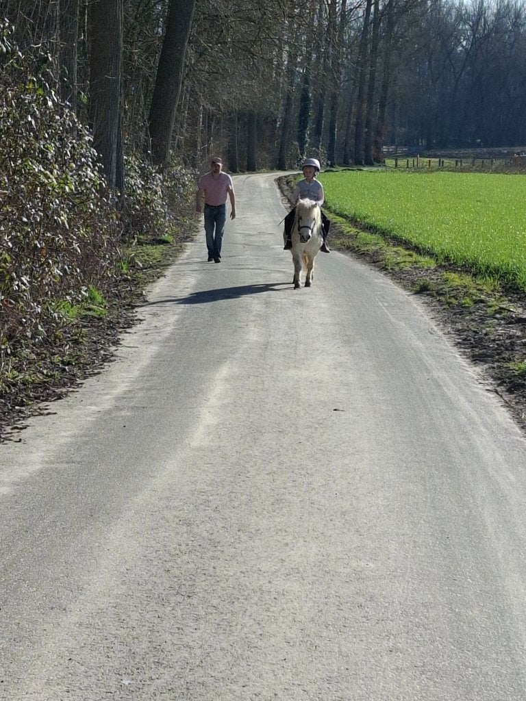 Pony's, Merrie, Zadelmak, A pony (tot 1.17m), Gechipt