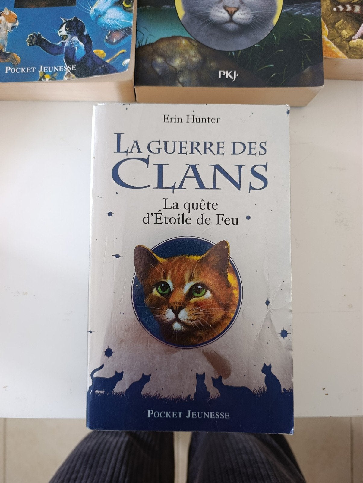La guerre des clans, la quête d'Etoile de feu 9782266205245, Enlèvement ou Envoi