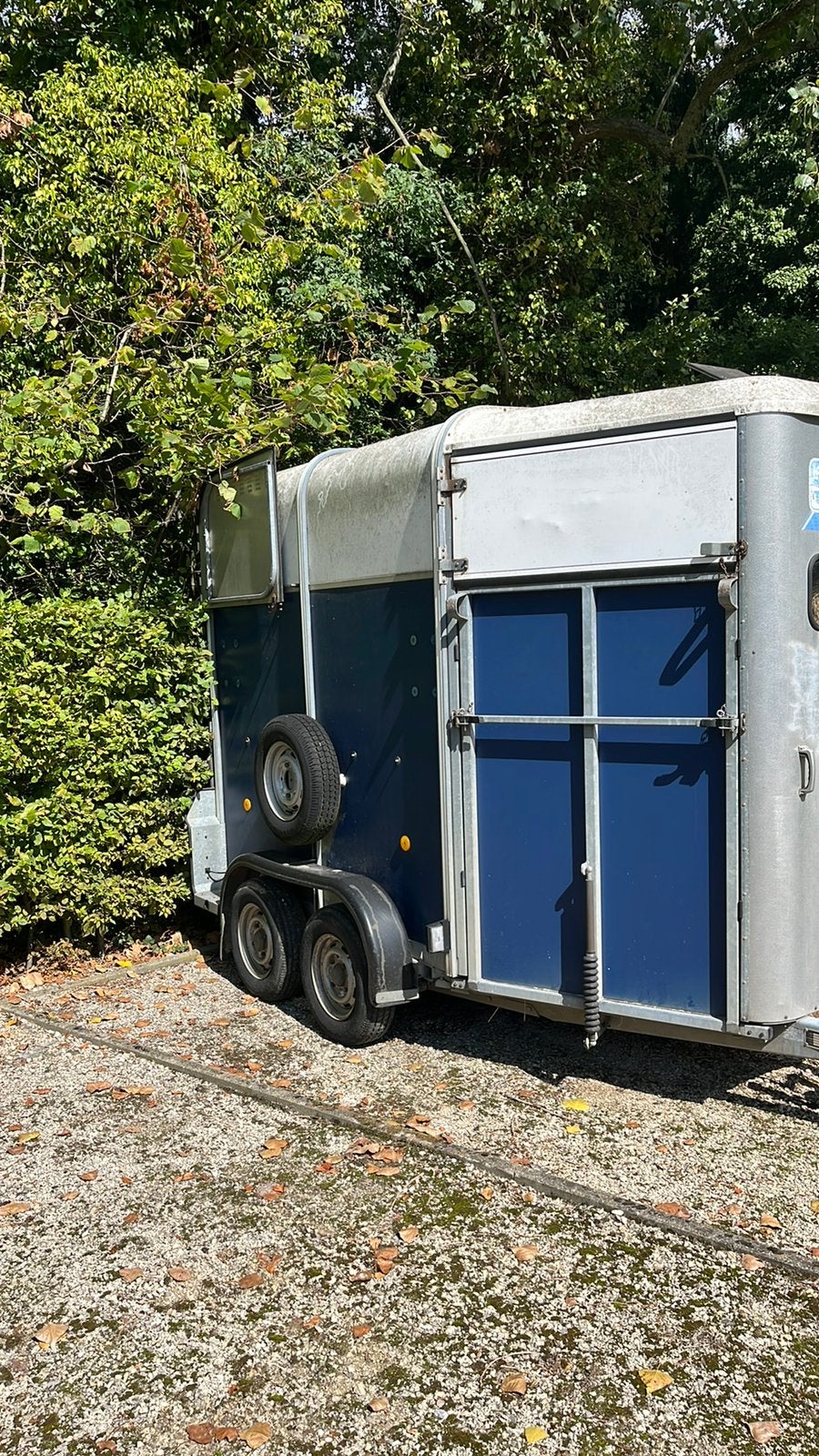 Van chevaux IFOR WILLIAMS HB505R, Enlèvement, Utilisé, Remorque 2 chevaux