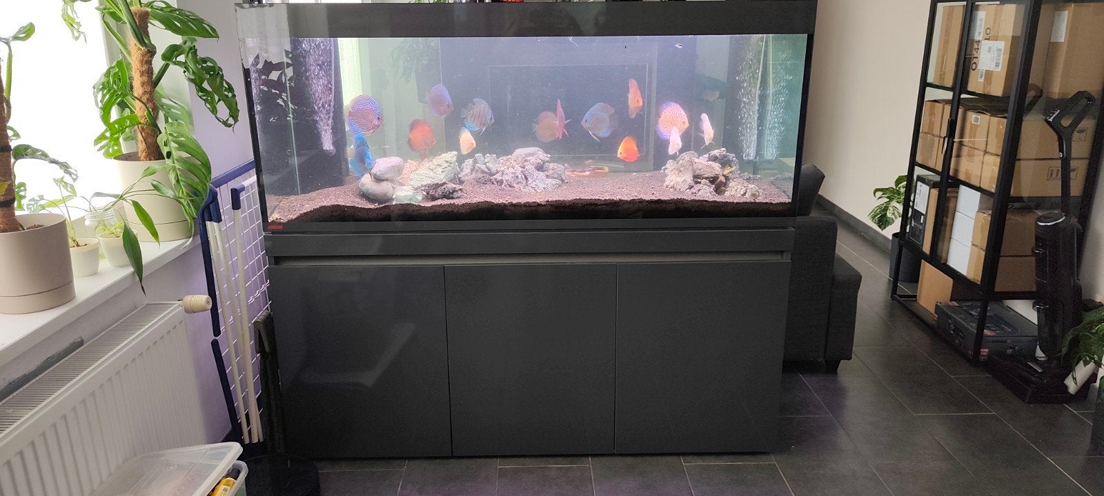 aquarium eheim incpiria 530litres, Enlèvement