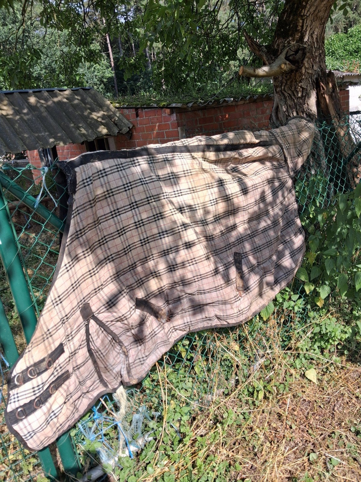 Allerlei paardenmateriaal . Dekens en onderleggers, zadels, Enlèvement