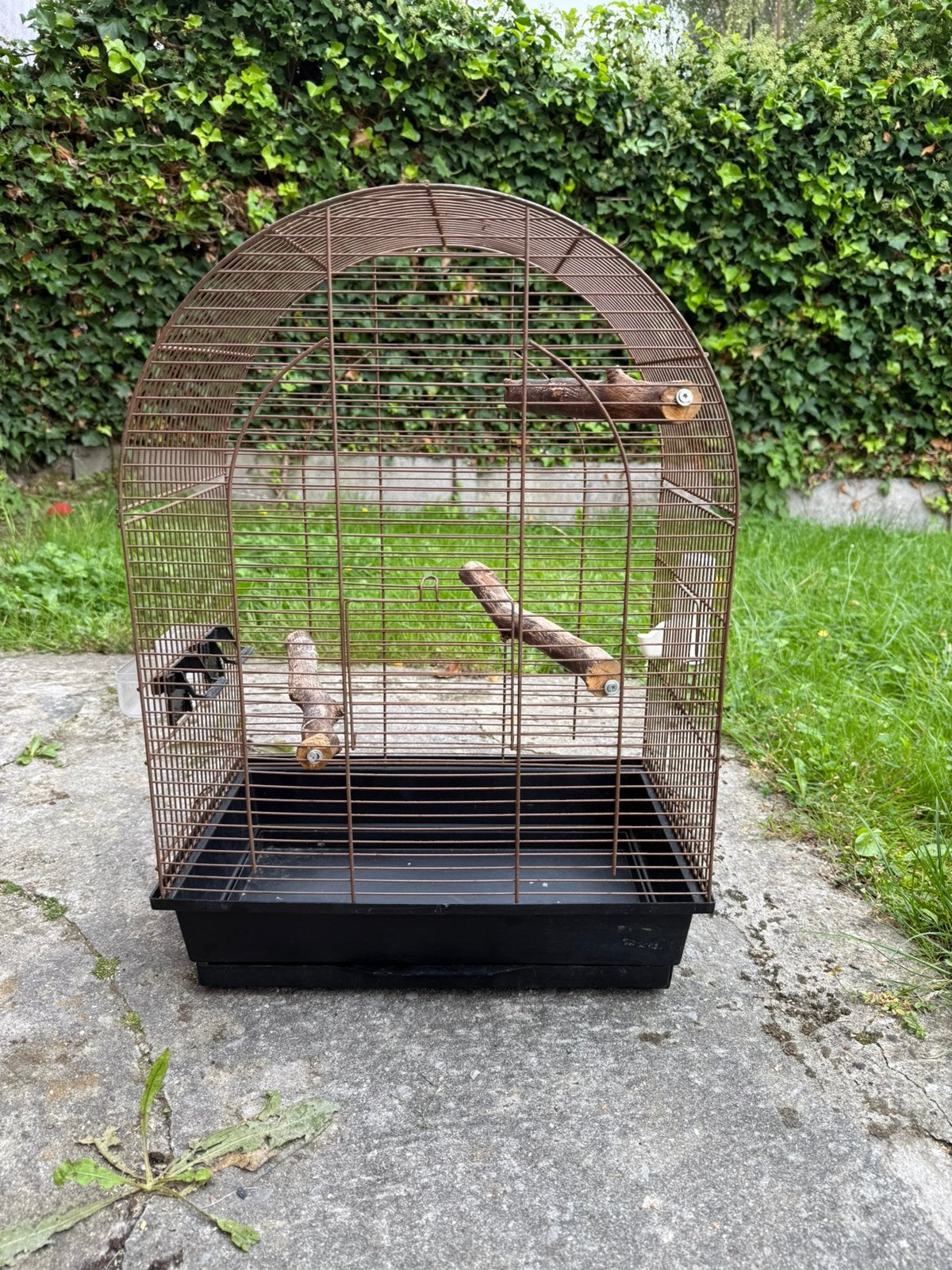 Cage oiseaux, Dieren en Toebehoren, Ophalen, Zo goed als nieuw