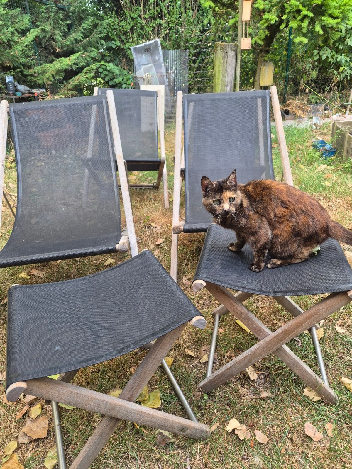 lot de 4 chiliennes/chaises jardin et 2 repose pieds, Jardin & Terrasse, Enlèvement