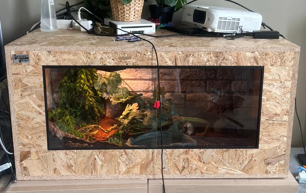 Terrarium 1m met toebehoren, Dieren en Toebehoren, Ophalen, Gebruikt, Terrarium of Paludarium