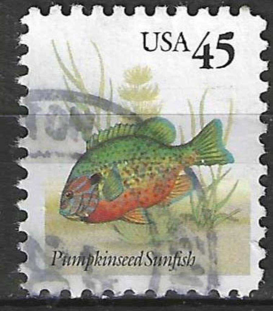 USA 1992 - Yvert 2128 - Vis - Zonnebaars (ST), Verzenden, Gestempeld