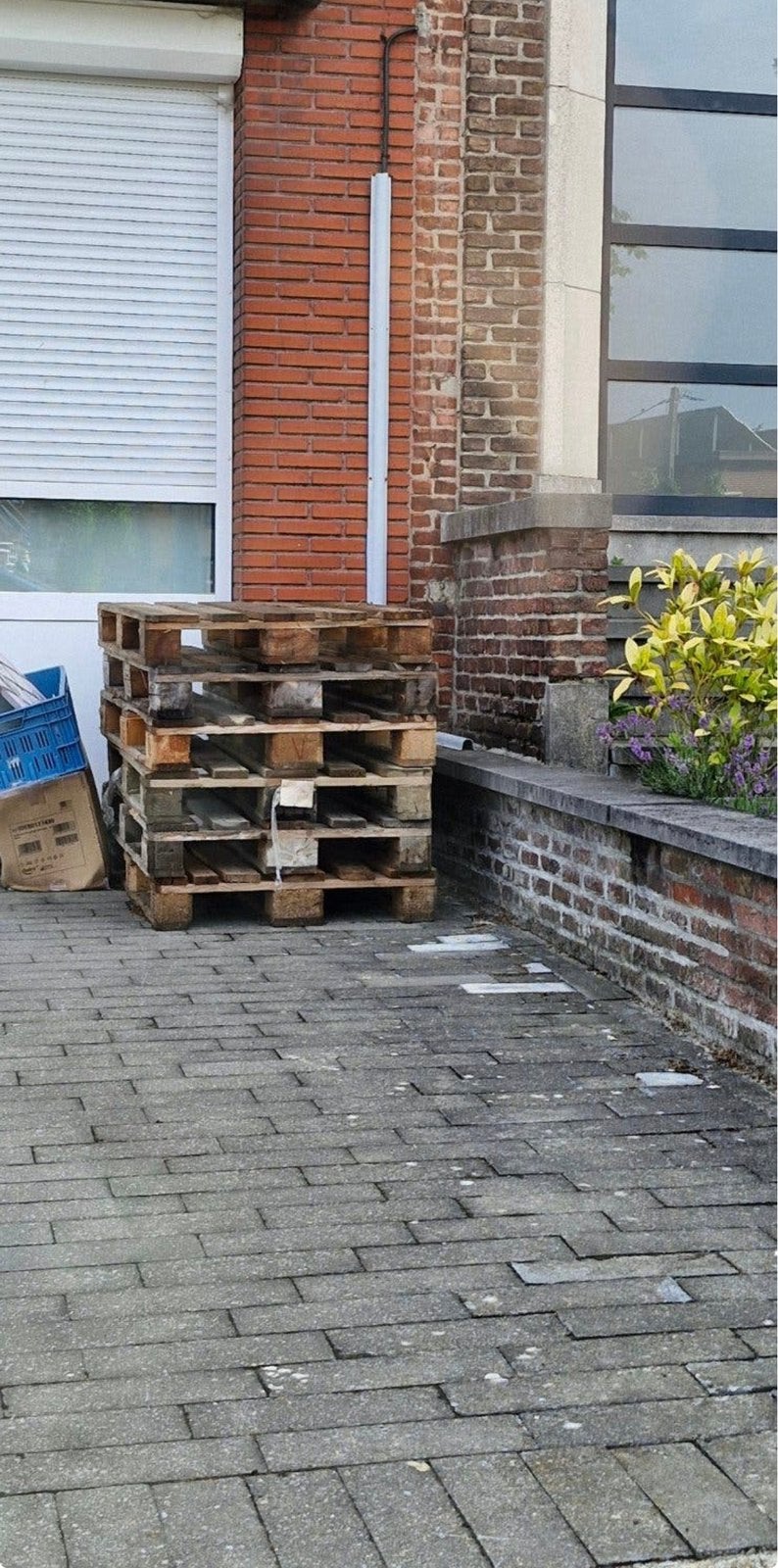 Palleten gezocht, Enlèvement, Comme neuf