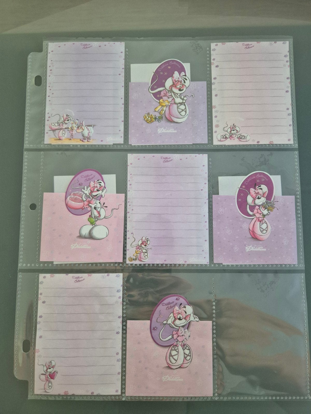 set kleine blaadjes diddl, Enlèvement