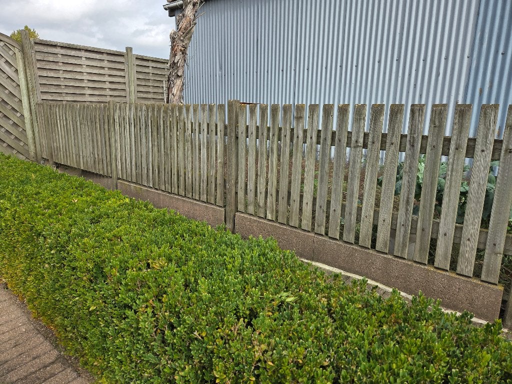 tuinhekjes 3 stuks en poortje, Enlèvement, Utilisé, Avec portail, Porte du jardin