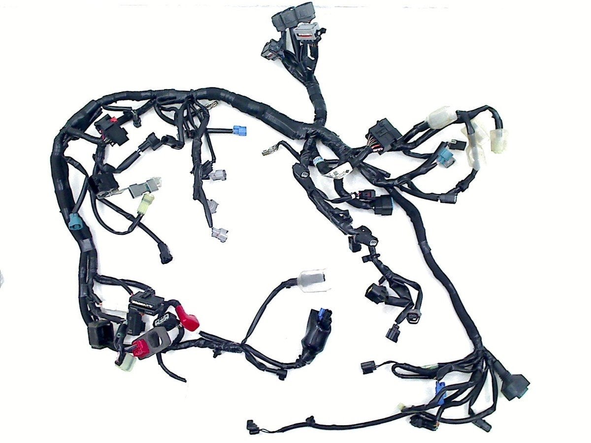 KABELBOOM Z 900 2020-2024 (Z900 ZR900) (26031-2844), Motoren, Kawasaki Motors Europe N.V., Gebruikt, Info@kawasaki.eu, Jacobus Spijkerdreef 1-3
2132 PZ  Hoofddorp, JP