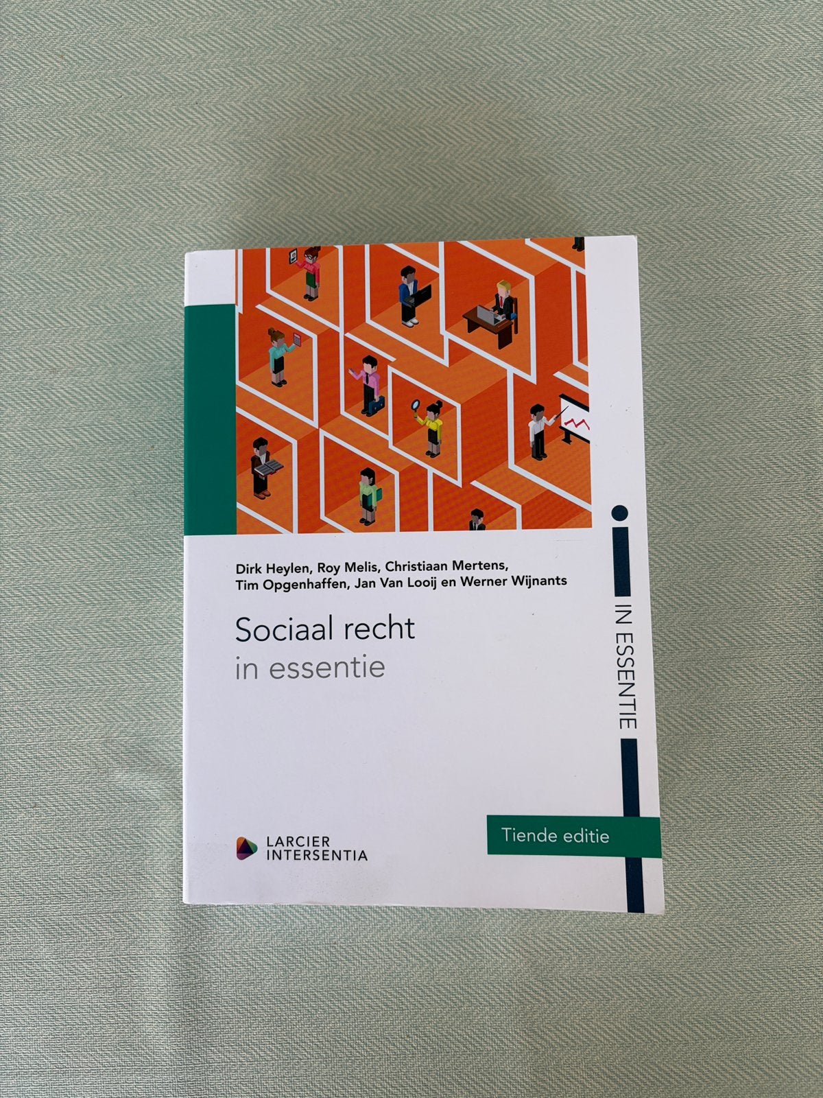 Sociaal recht in essentie, Boeken, Ophalen of Verzenden, Zo goed als nieuw