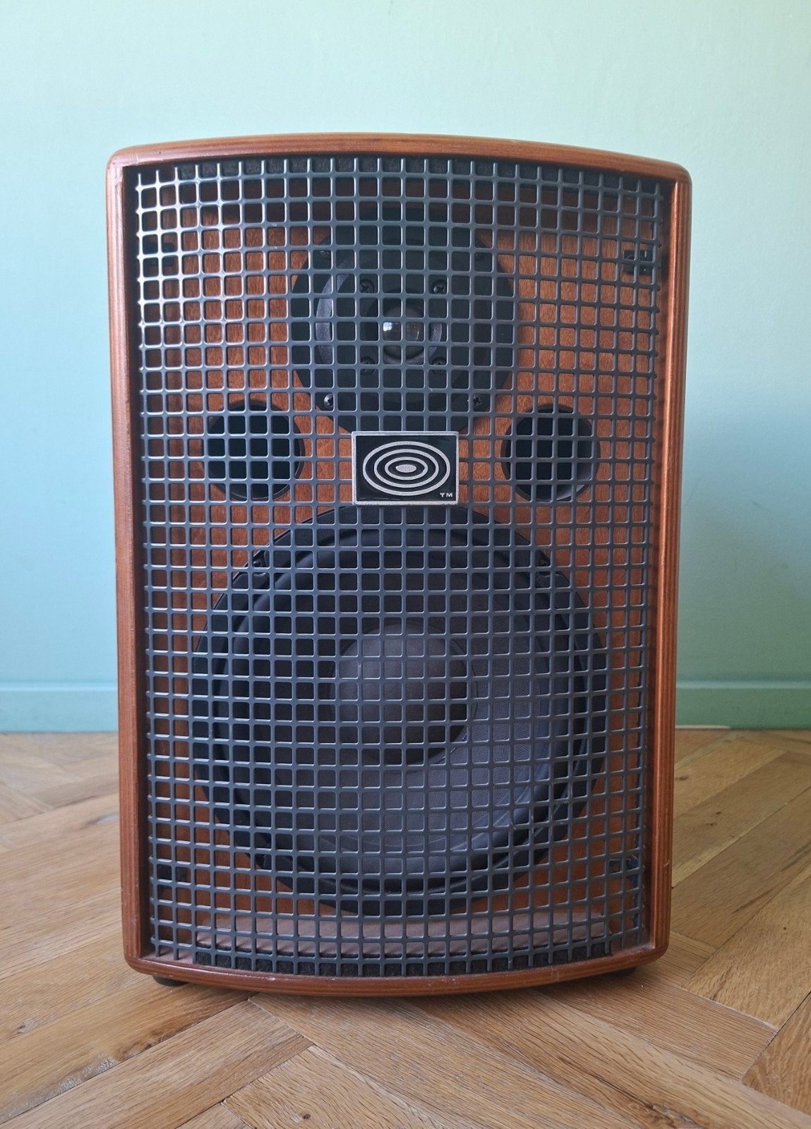 Schertler Jam 150 Plus, Ophalen, Gebruikt, Gitaar, 100 watt of meer
