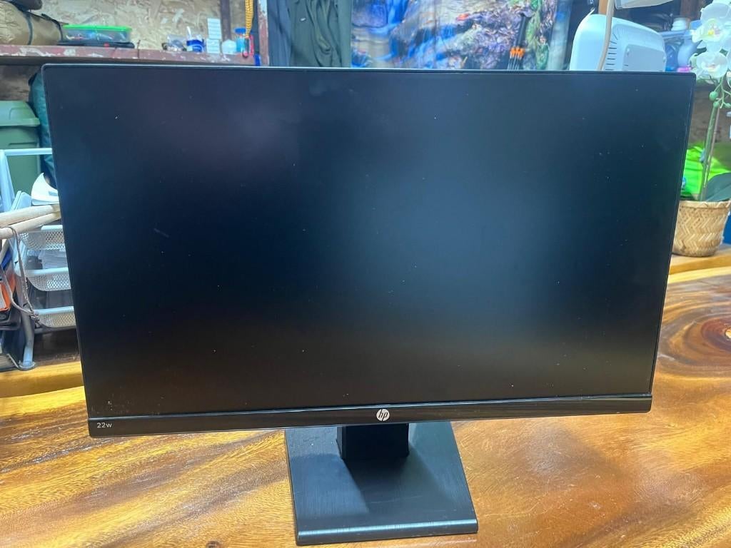 Computerscherm HP, Ophalen, Hp, Overige typen, 60 Hz of minder