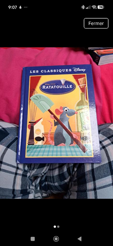 Livre ratatouille, Verzamelen, Ophalen, Overige figuren, Zo goed als nieuw, Overige typen