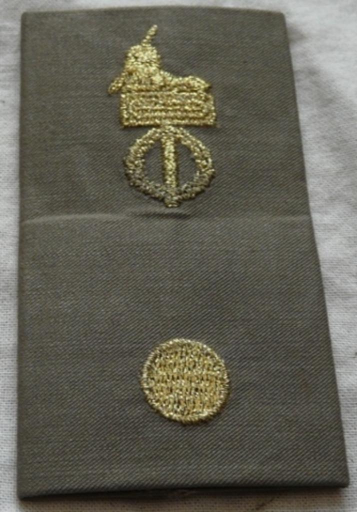 Rang Onderscheiding Regenjas, Regt - Korps AOO, KL, va 2000., Verzamelen, Militaria | Algemeen, Ophalen of Verzenden, Landmacht