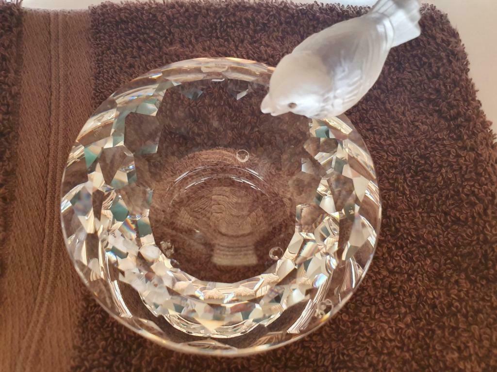 superbe petite coupe avec oiseau en cristal, Enlèvement ou Envoi