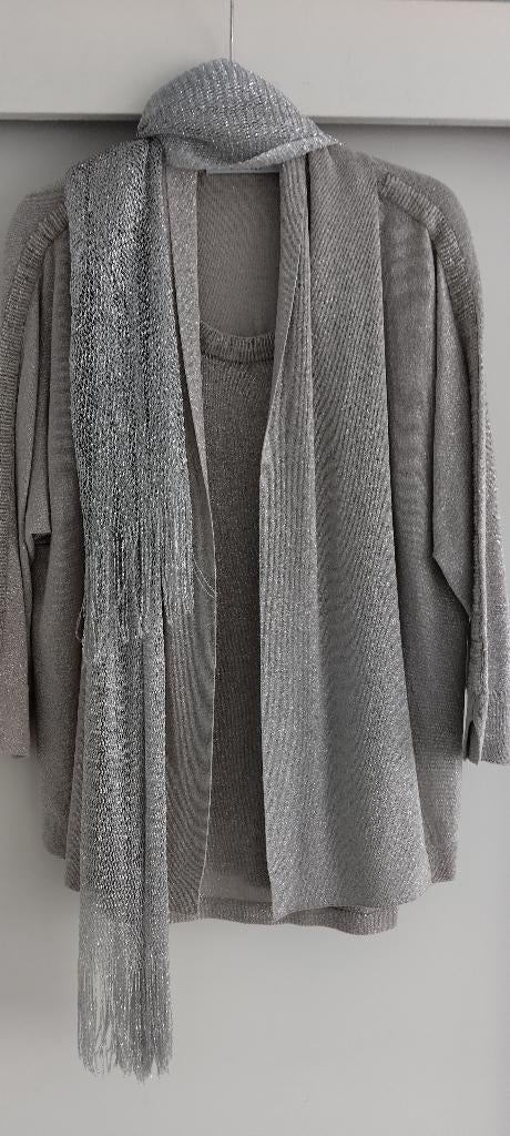 Xandres fijn ensemble : pull (truitje )+gilet : NIEUWE PRIJS, Beige, Ophalen of Verzenden, Zo goed als nieuw, Maat 36 (S)