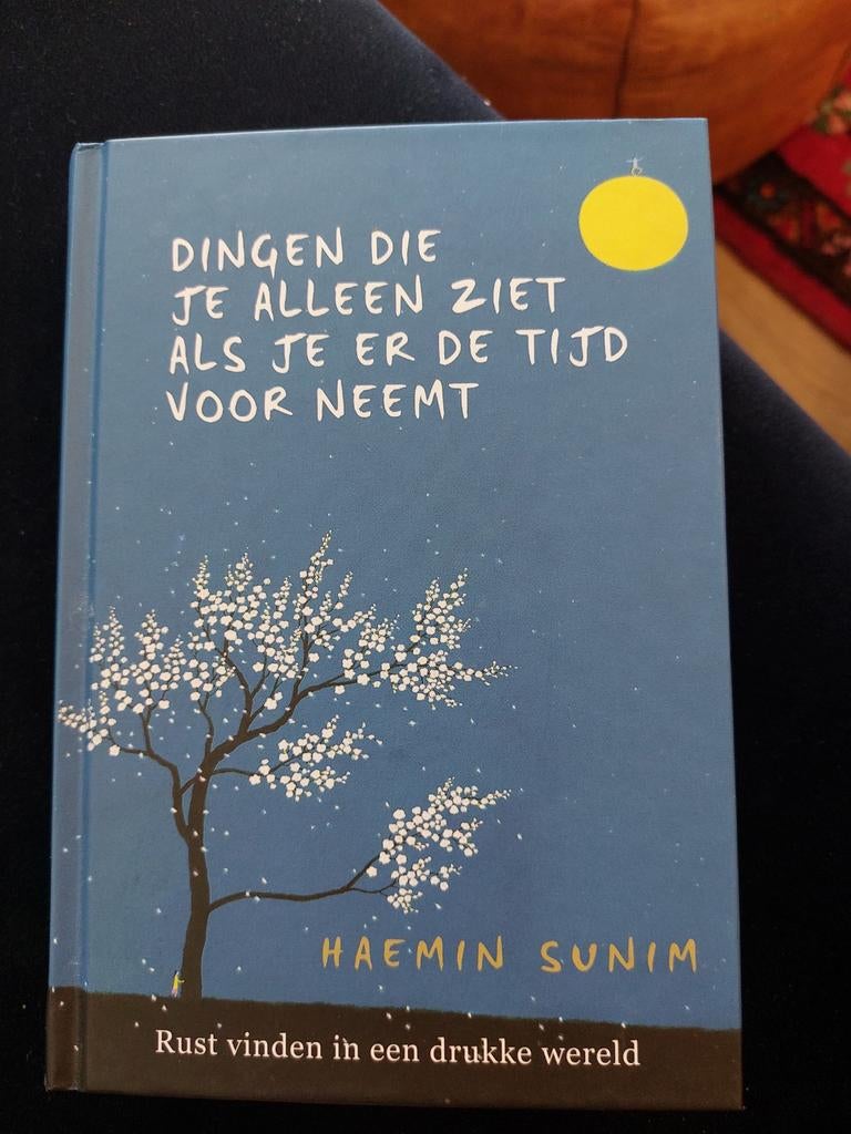Dingen die je alleen ziet als je er de tijd voor neemt, Haemin Sunim, Nieuw, Ophalen of Verzenden