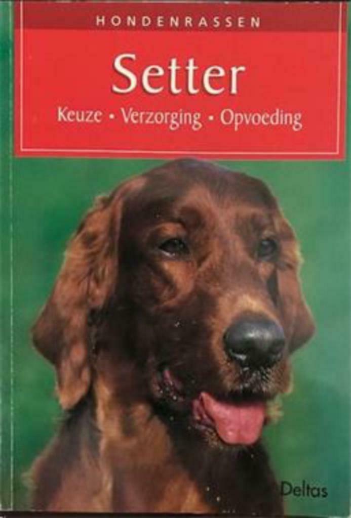 Setter, Horst, Enlèvement ou Envoi, Utilisé, Chiens