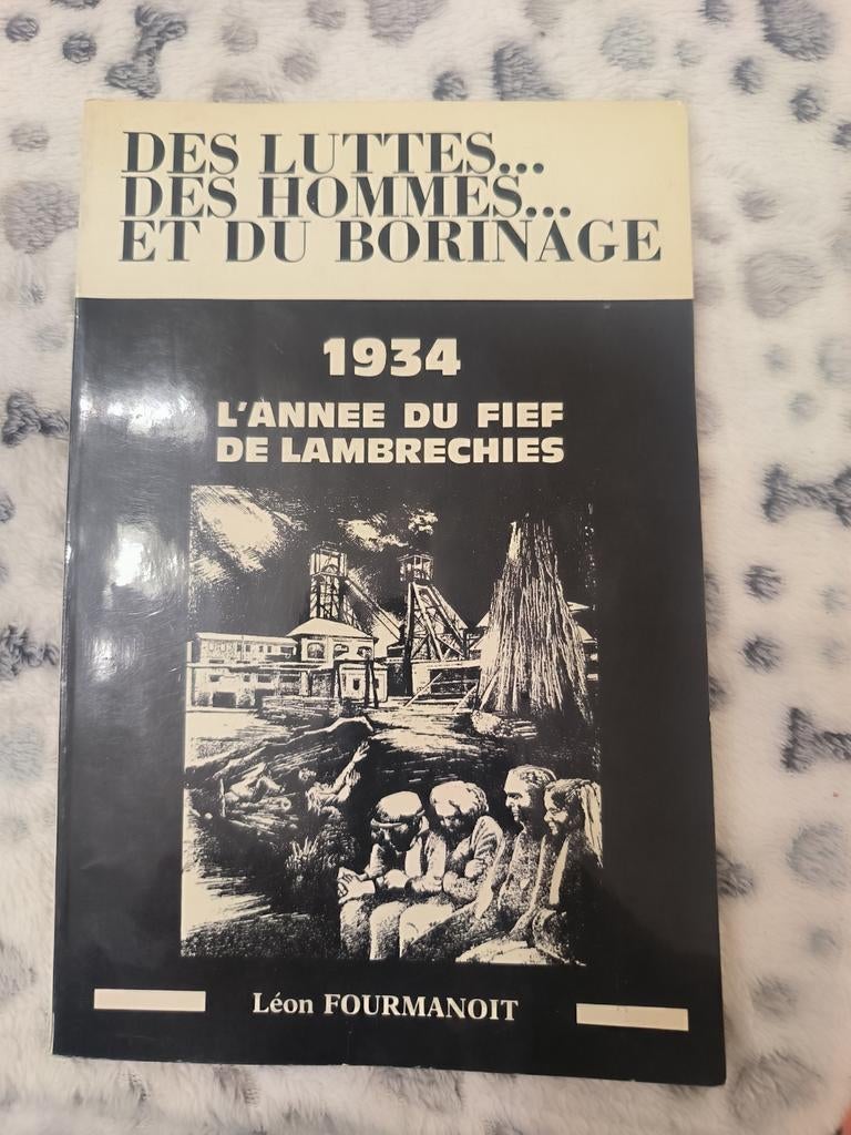 Livre" la lutte des hommes..et du Borinage", Livres, Enlèvement ou Envoi