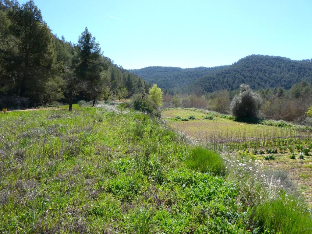Finca à Caseres (Catalogne, Espagne) - 1001, Immo, Étranger, Terrain ou Parcelle, Espagne, Campagne