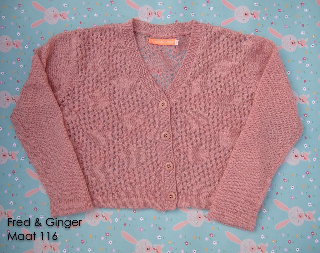 Cardigan Fred & Ginger roze mohair - Maat 116 NIEUW, Kinderen en Baby's, Kinderkleding | Maat 116, Nieuw, Meisje, Trui of Vest