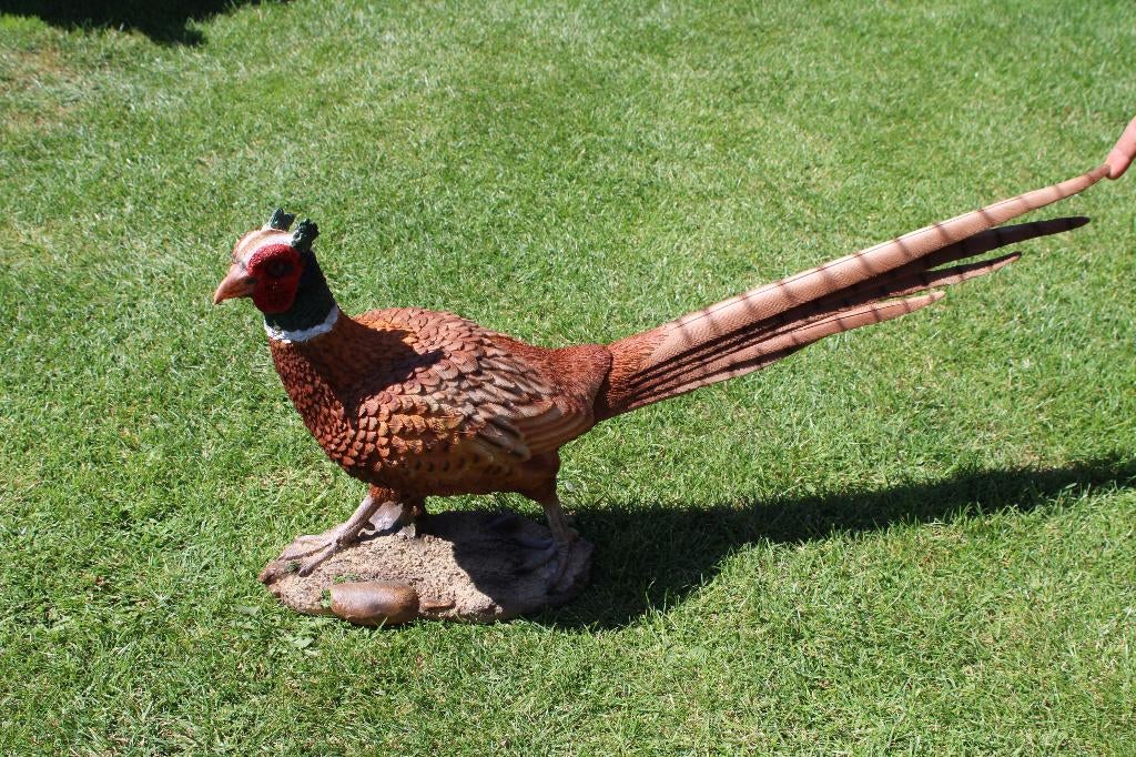 Standbeeld van een levensgrote fazant. nieuw!, Ophalen of Verzenden, Nieuw, Kunststof, Dierenbeeld