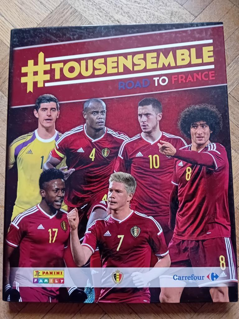Album panini tous ensemble road to France, Ophalen of Verzenden