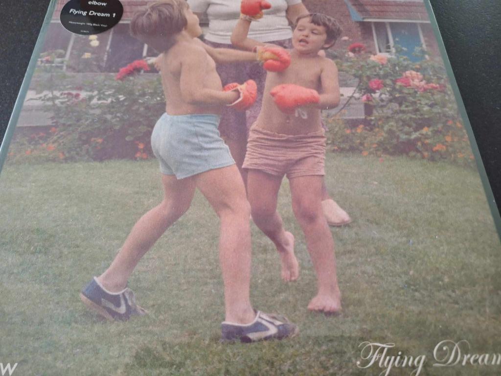 INDIE ROCK / ALTERNATIVE ROCK  NEW & SEALED RECORDS VINYL, Ophalen of Verzenden, Nieuw in verpakking, 12 inch, Alternative