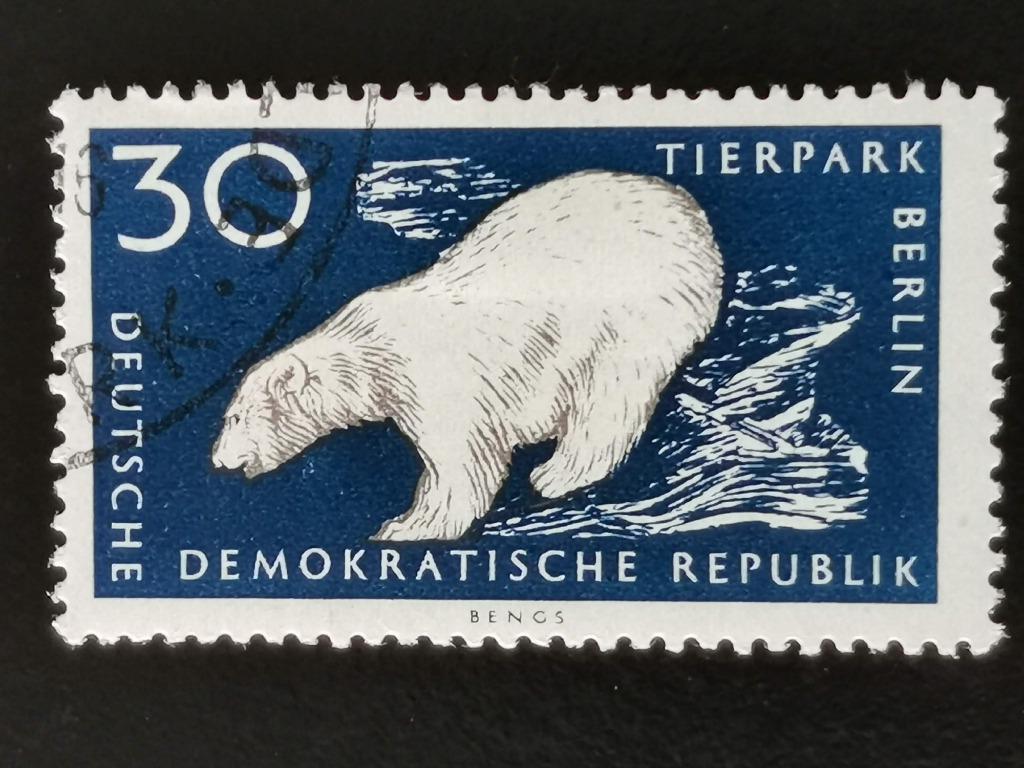 DDR 1956 - ijsbeer - Zoo Berlijn, Ophalen of Verzenden, Gestempeld, Dier of Natuur