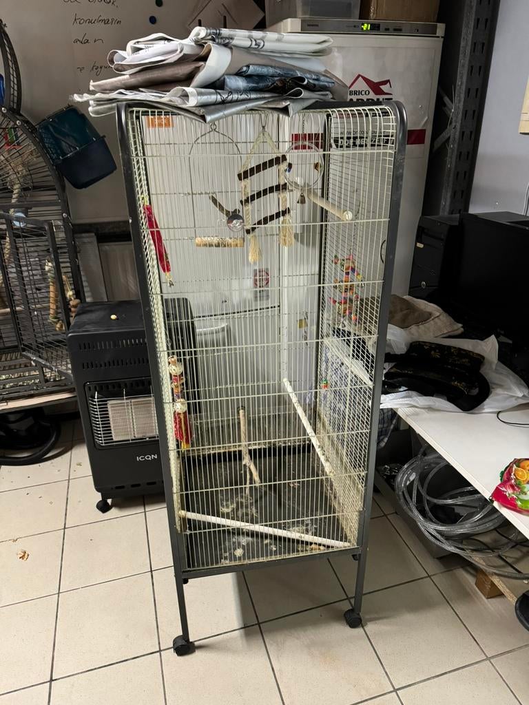 Papegaai kooi te koop, Ophalen, Zo goed als nieuw