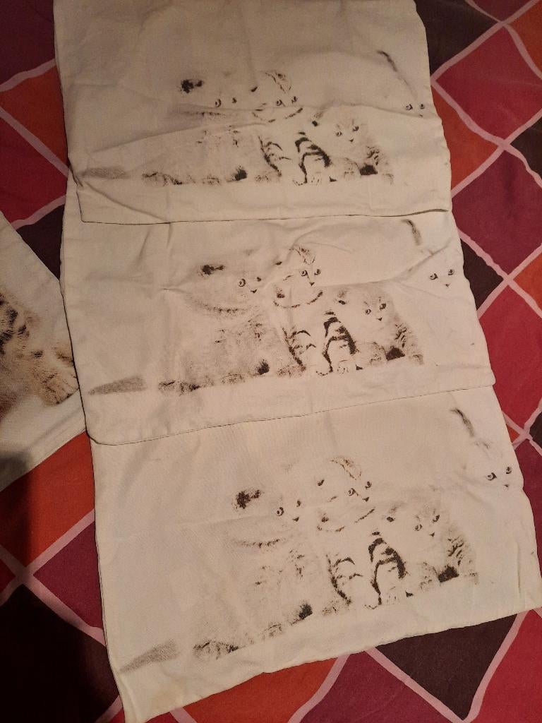 Kussensloop, Drap-housse ou Taie d'oreiller, Beige, Une personne, Enlèvement