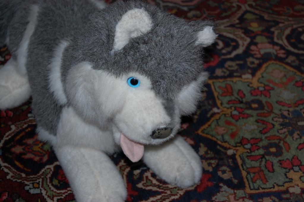 PELUCHE CHIEN HUSKY DE SIBERIE, Enlèvement ou Envoi, Comme neuf, Chien