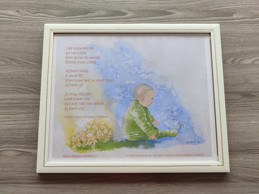 BabyMIR liedje(Vader Jacob) in kader, Ophalen