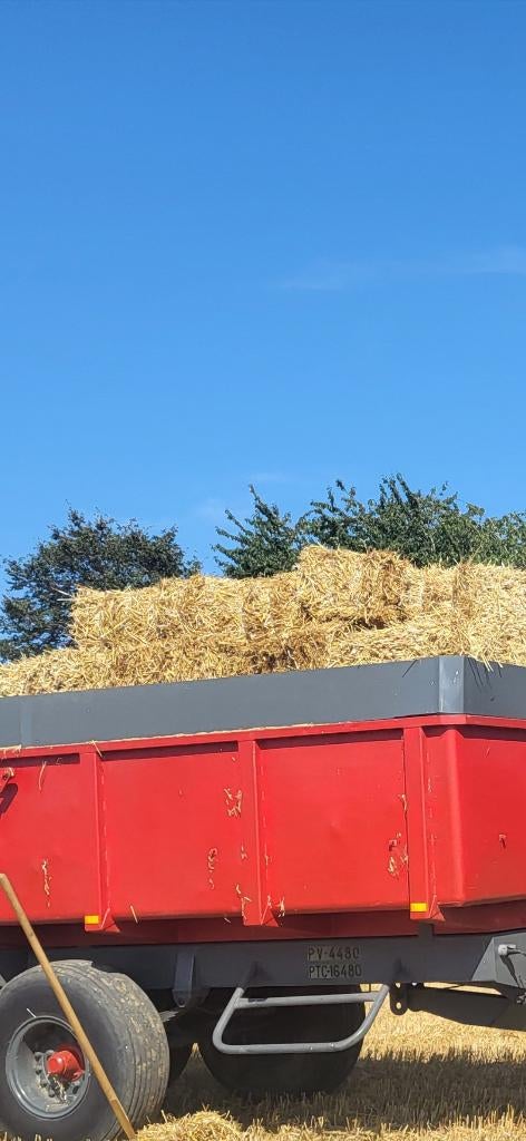Kleine balen stro, Zakelijke goederen, Landbouw | Veevoer, Ophalen