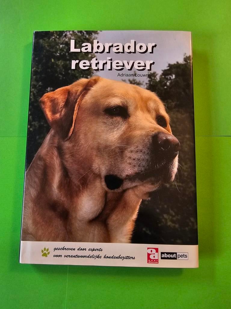 A. Louwrier - Labrador retriever, A. Louwrier, Honden, Ophalen of Verzenden, Zo goed als nieuw