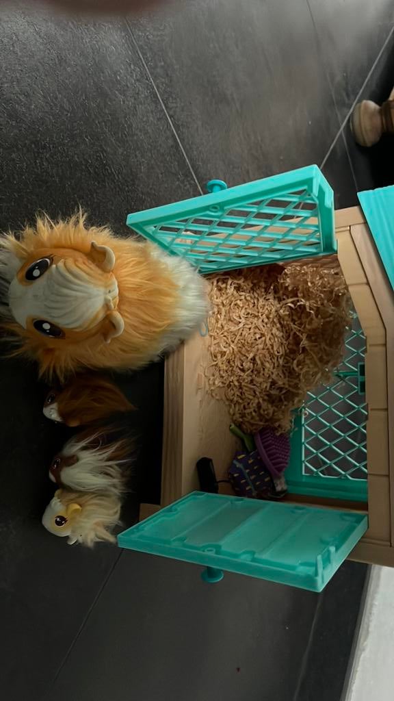 Cavia, Ophalen