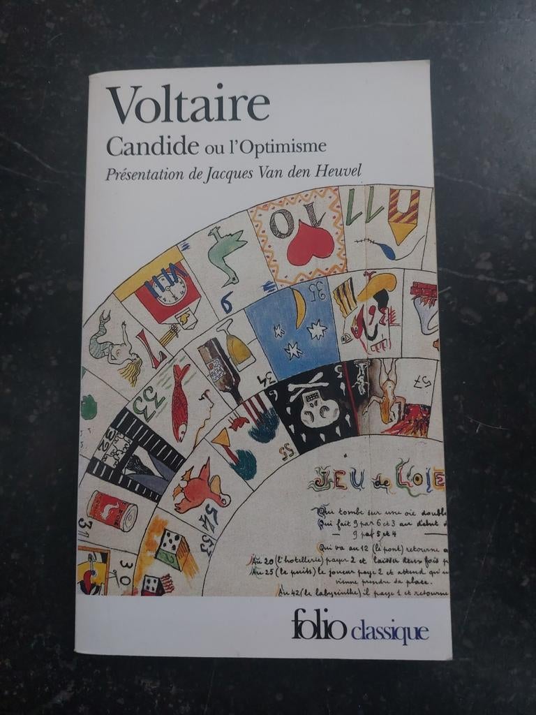 Candide ou l'Optimisme de Voltaire, Livres, Informatique & Ordinateur, Utilisé