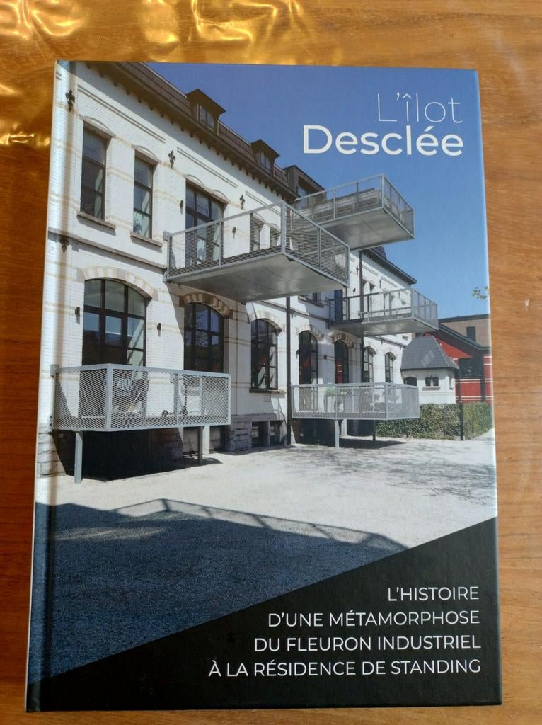 Kartonnen boek op het eiland Desclée in Doornik, Ophalen of Verzenden