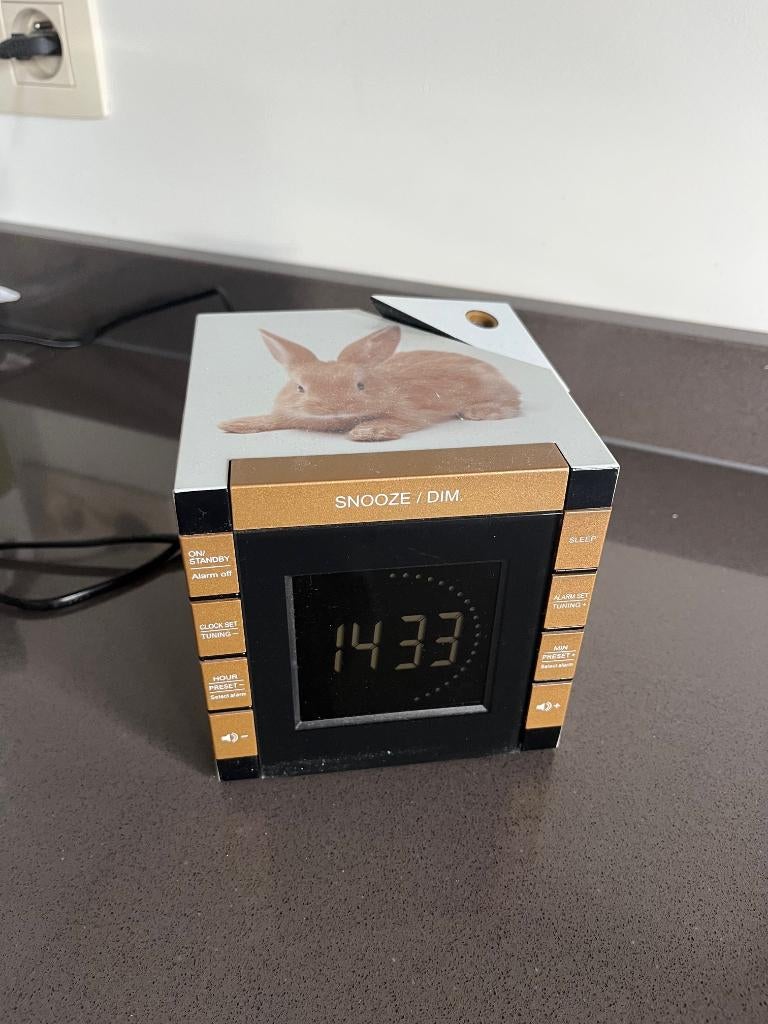 Bigben Wekkerradio Projectie – Konijntjes – Bruin, Ophalen of Verzenden, Zo goed als nieuw, Digitaal