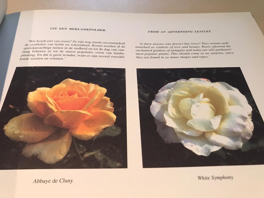 Leo Copers Artistbook 1001 op 500 excemplaren, Boeken, Ophalen of Verzenden, Zo goed als nieuw, Beeldhouwkunst