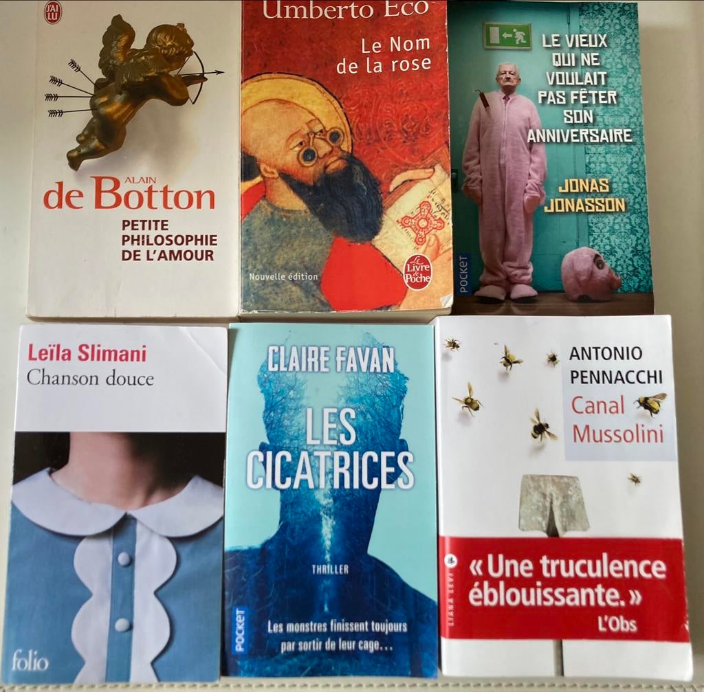 Livres de poche en français / lot ou au choix