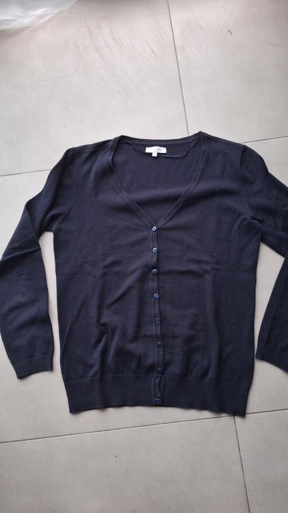 Trui Bel & Bo, Kleding | Dames, Truien en Vesten, Blauw, Ophalen of Verzenden, Gedragen, Maat 46/48 (XL) of groter