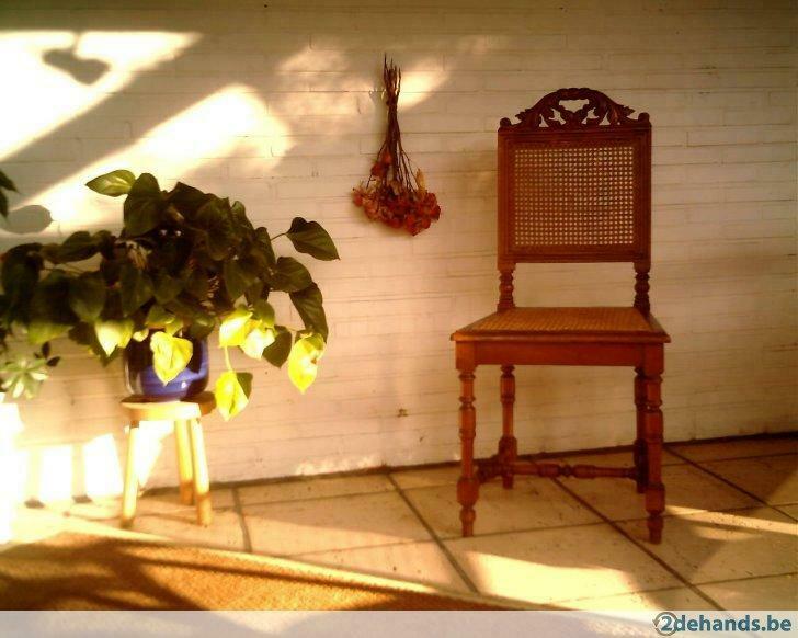 Zes prachtige antieke eiken gecaneerde stoelen