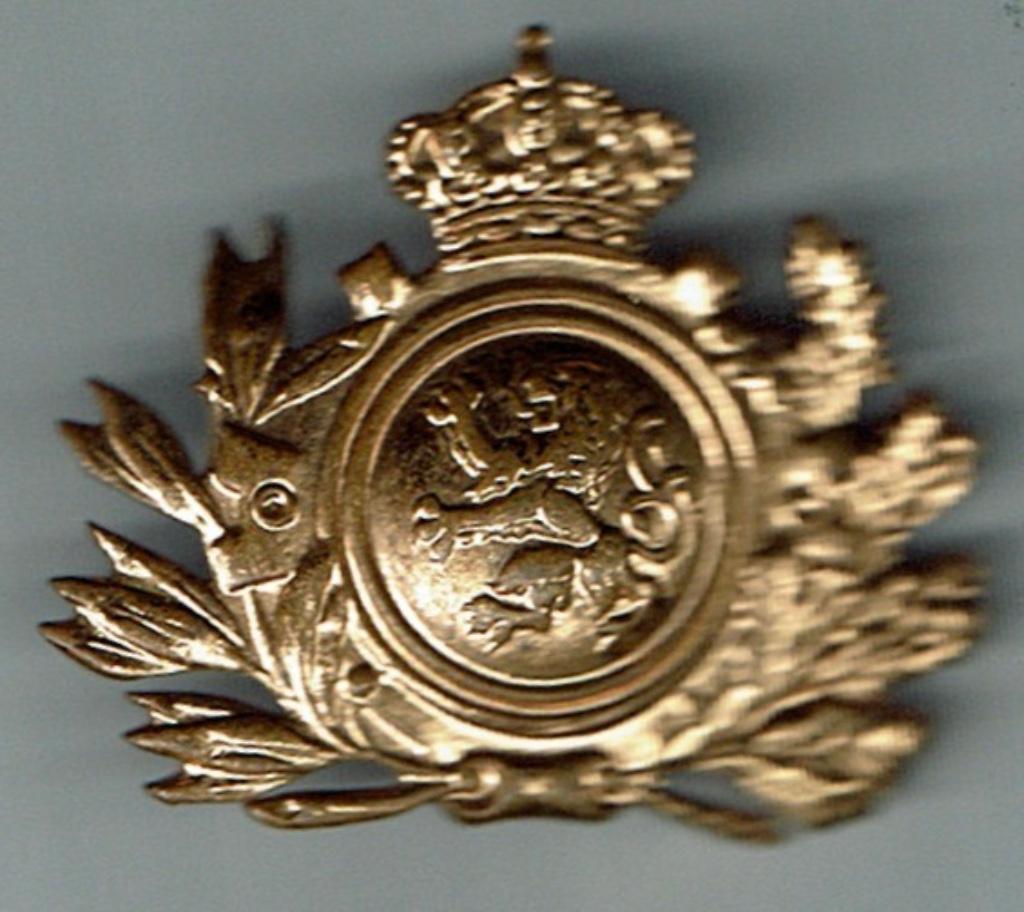 Insigne militaire belge, Envoi, Armée de terre, Emblème ou Badge