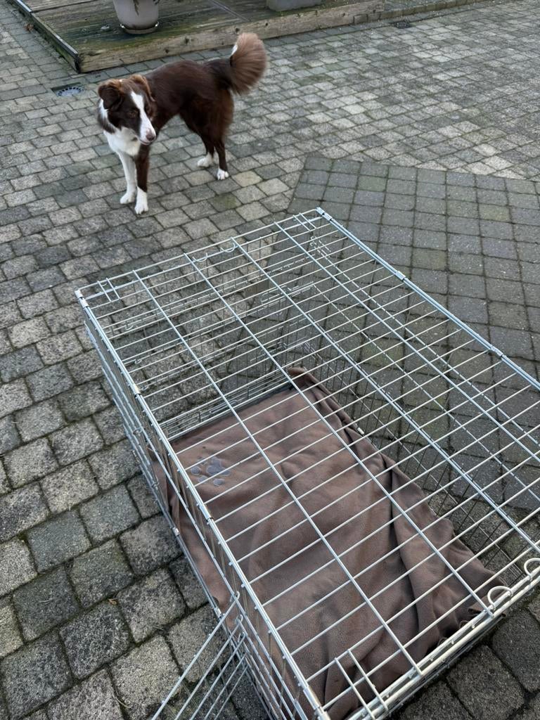 Metalen hondenbench opvouwbaar, Enlèvement, 75 à 110 cm, 65 à 100 cm, Niche à chien