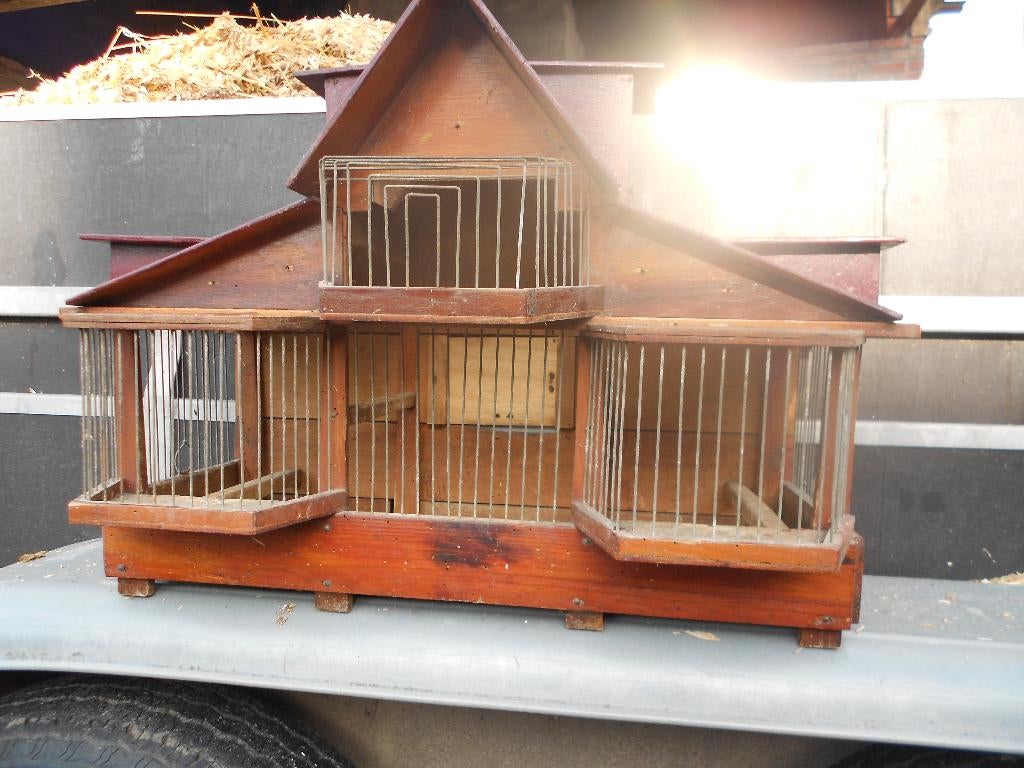 Vogelkooi, Enlèvement, Cage à oiseaux