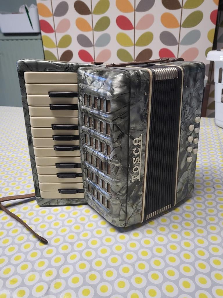 Vintage Tosca kinderaccordeon, Ophalen