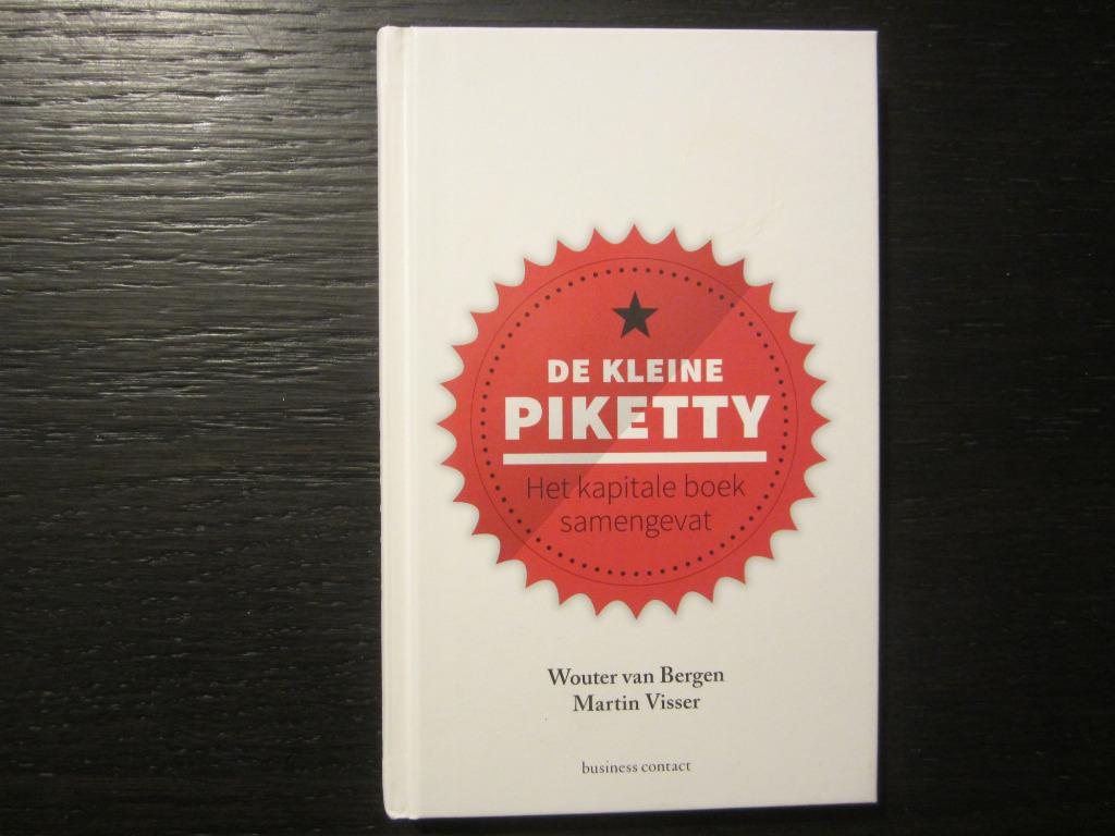 De kleine Pikketty -Wouter van Bergen/Martin Visser, Boeken, Ophalen of Verzenden
